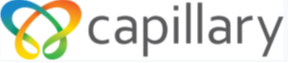 Capillary Technologies India Ltd.
